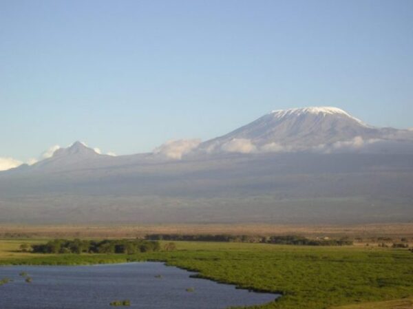 Amboseli Express One Day Safari