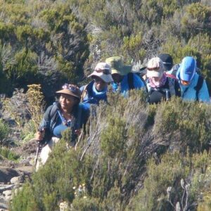 Mount Meru Expedition