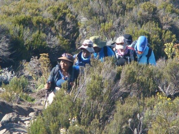 Mount Meru Expedition