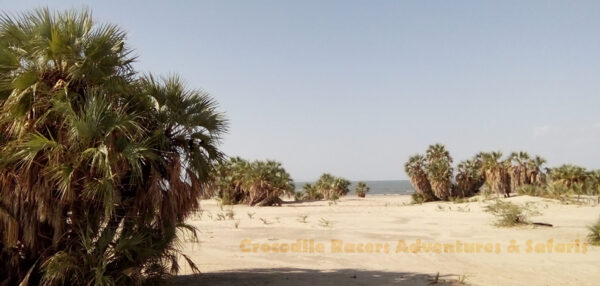 Turkana Cultural Flying Package - Image 3