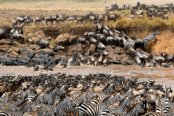 15 Days Kenya & Rwanda Safari Vacation - Image 7