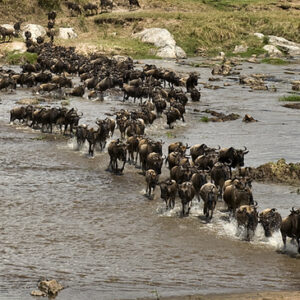 Overland Truck Safari Maasai Mara