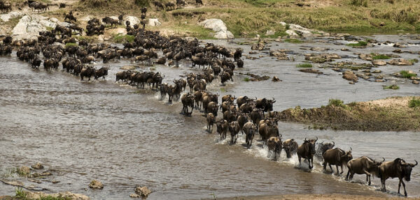 Overland Truck Safari Maasai Mara