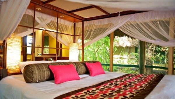 Samburu Intrepids Flying Package - Image 2