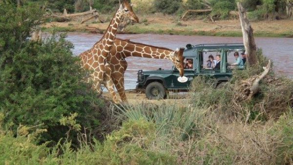 Samburu Intrepids Flying Package