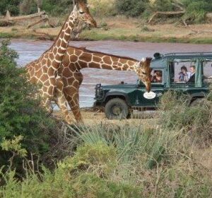 Samburu Intrepids Flying Package