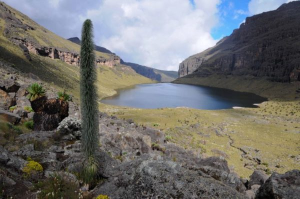 Mt Kenya Great Lakes Scenic Climbing Expedition 2023 - 2025