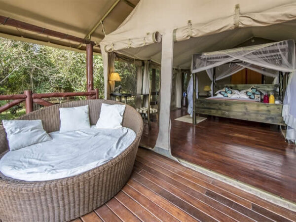 Maasai Mara and Diani Beach Vacation 8 Days - Image 4